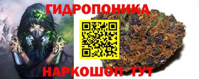 трава Кунгур