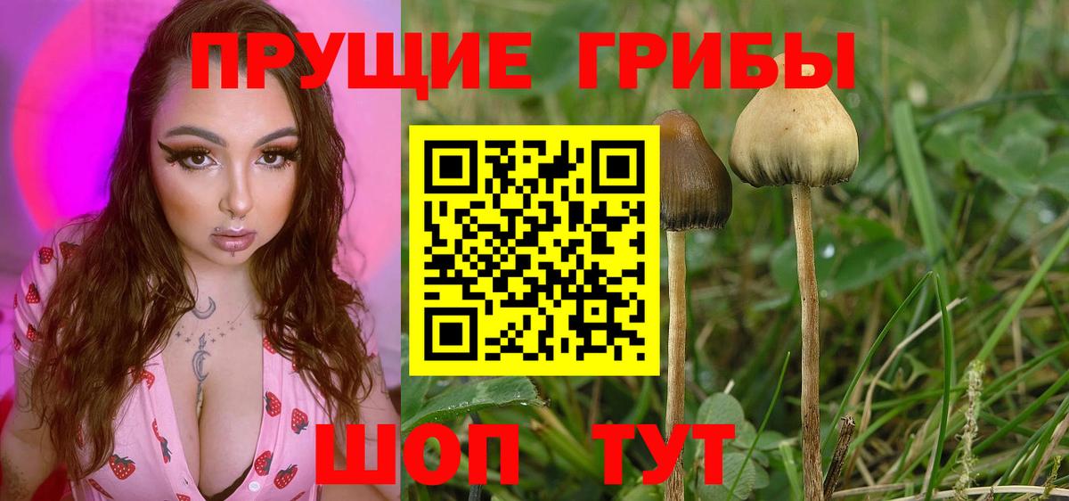 Псилоцибиновые грибы мухоморы Ивантеевка