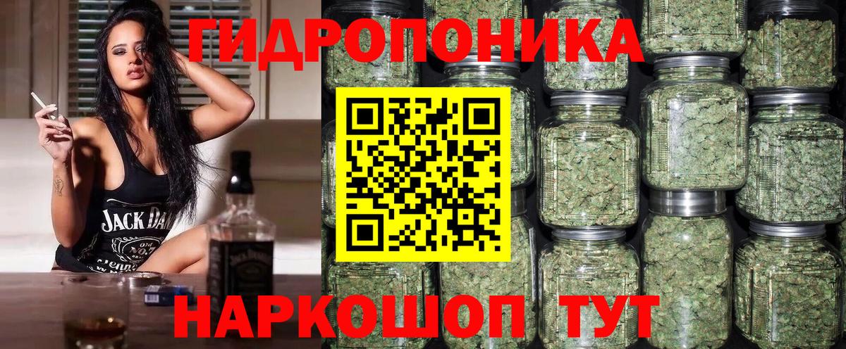Конопля индика Ивантеевка